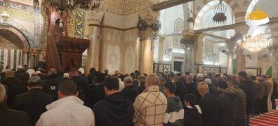 photo_2026-02-01_08-55-28