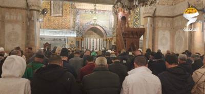 photo_2026-02-01_08-55-31