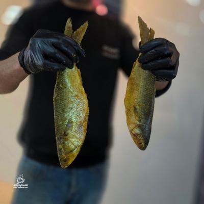 photo_٢٠٢٦-٠٣-١٧_٠٠-١٧-٤٩