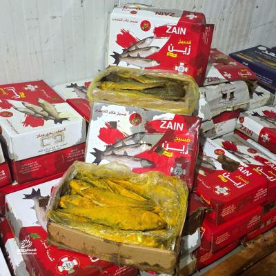 photo_٢٠٢٦-٠٣-١٧_٠٠-١٧-٥٠