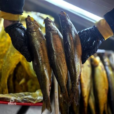 photo_٢٠٢٦-٠٣-١٧_٠٠-١٧-٥١