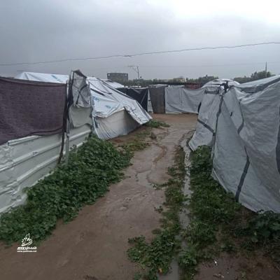 photo_٢٠٢٦-٠٣-٢٦_١٦-٥٣-١٣