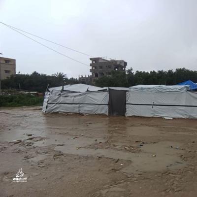 photo_٢٠٢٦-٠٣-٢٦_١٦-٥٣-١٤