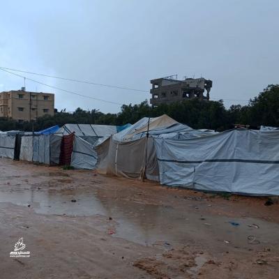 photo_٢٠٢٦-٠٣-٢٦_١٦-٥٣-١٥