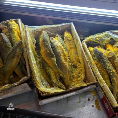 photo_٢٠٢٦-٠٣-١٧_٠٠-١٧-٥٢