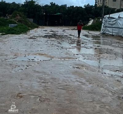 photo_٢٠٢٦-٠٣-٢٦_١٦-٥٣-١٥ (2)