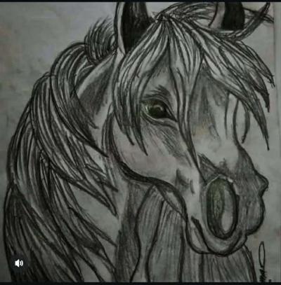 ae46211d-5e51-4482-bd53-fa8a447a9477