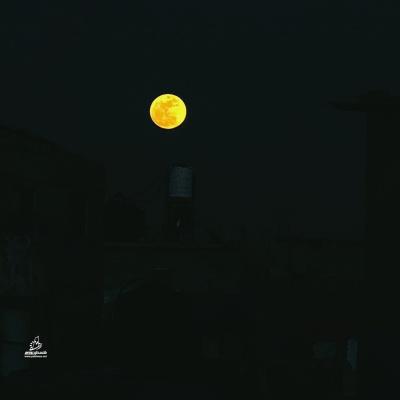 photo_٢٠٢٦-٠٥-٠١_٢٢-٤٧-٥٠ (3)