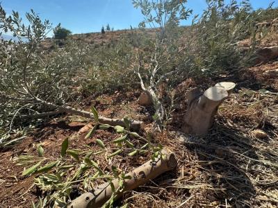 photo_2026-10-21_08-56-36