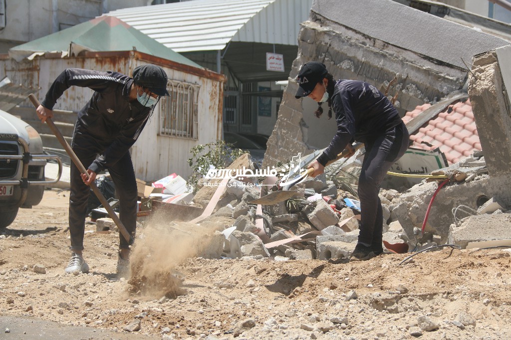 IMG_4729 [أقصى عرض 1024 أقصى ارتفاع 768].jpg