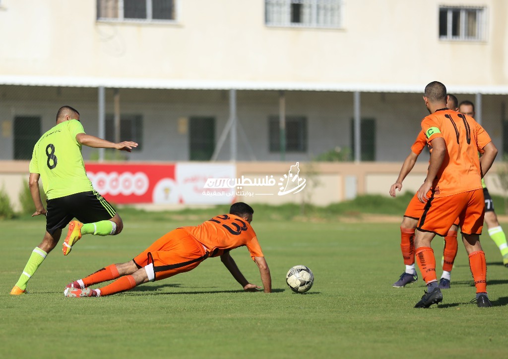 0P9A7741 [أقصى عرض 1024 أقصى ارتفاع 768].jpg