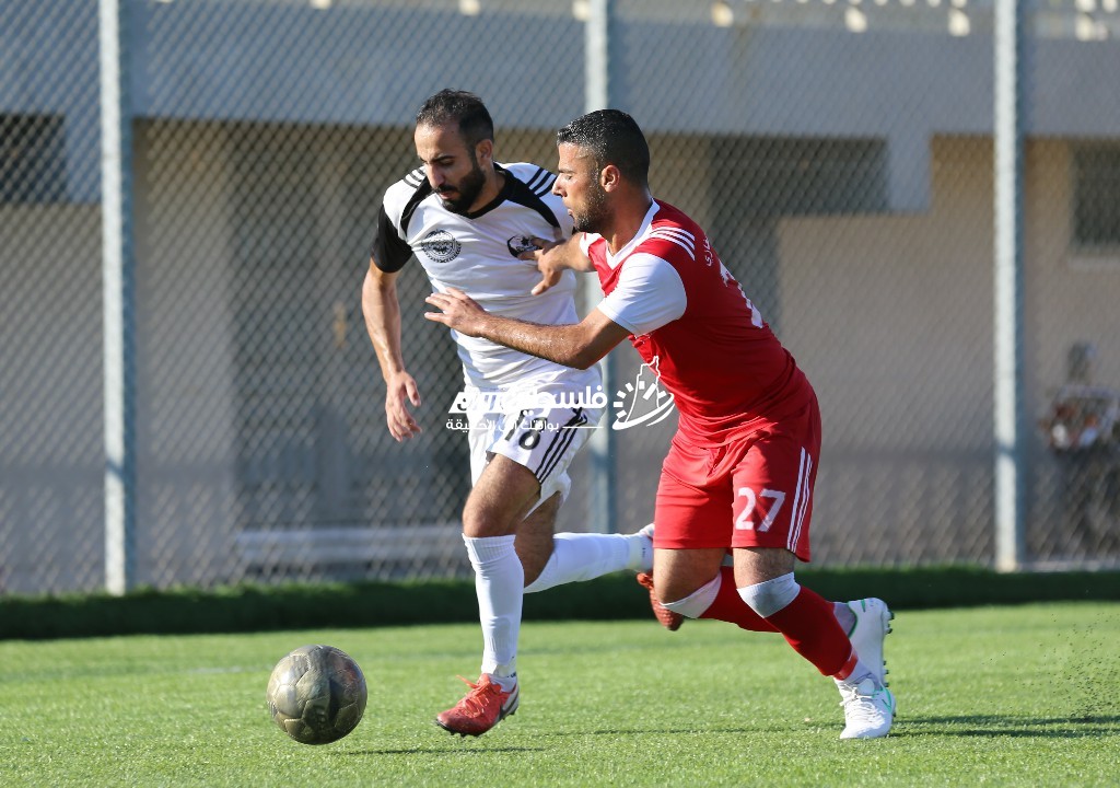 0P9A7223 [أقصى عرض 1024 أقصى ارتفاع 768].jpg
