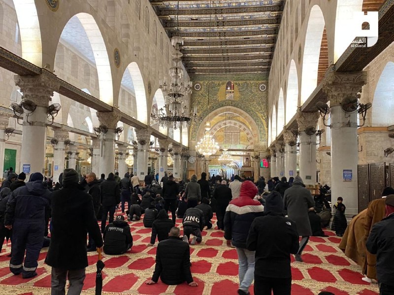 8173bcd5-0673-455e-b9dd-d76856ae851d (1).jpg