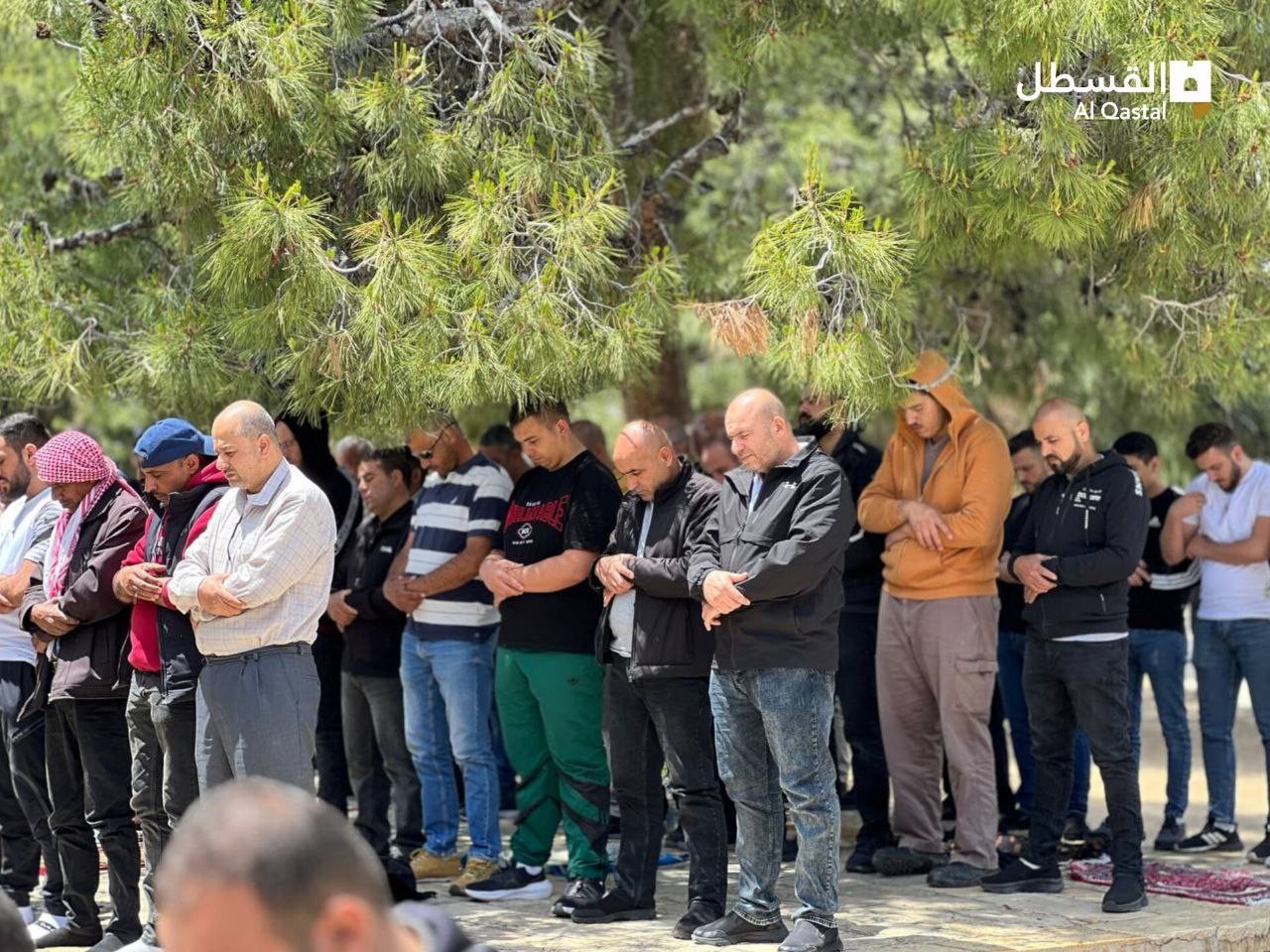 photo_٢٠٢٣-٠٤-٢٨_١٢-٢٤-٠٠ (2).jpg