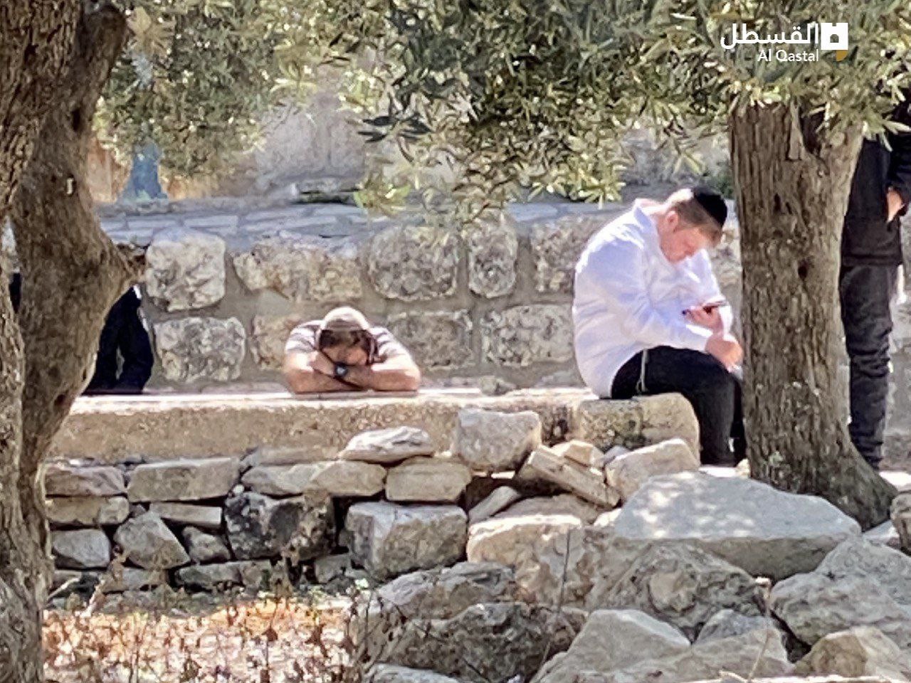 photo_٢٠٢٣-٠٦-٠٤_٠٩-٠٤-٣٣ (3).jpg