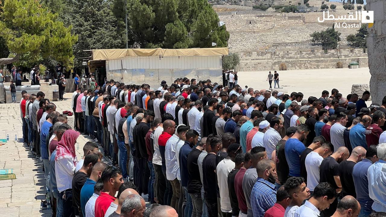 photo_٢٠٢٣-٠٦-٢٣_١٣-٢٥-٤٨ (2).jpg