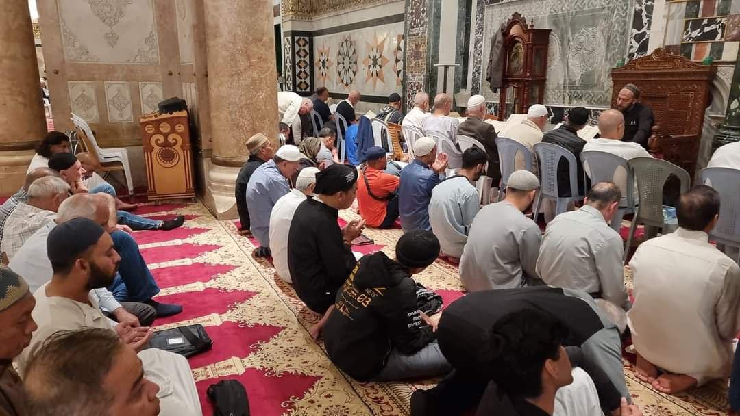 photo_٢٠٢٣-٠٦-٢٩_٠٩-٠٧-٢٧ (3).jpg