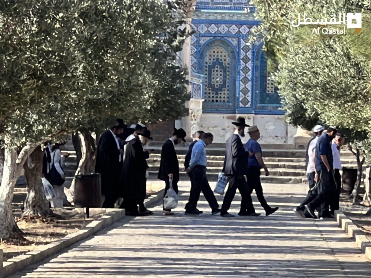 photo_٢٠٢٣-٠٧-٠٤_٠٩-٠٨-٥١ (2).jpg