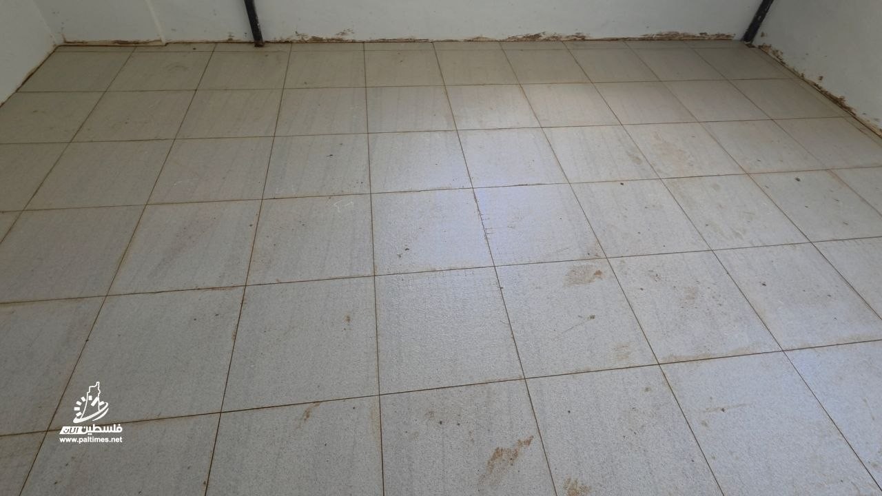 acac20ee-b656-47cf-86c2-cbe5033485e6.jfif